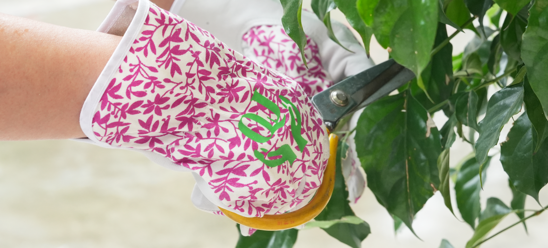 Nantong Qiji Sarung Tangan Co, Ltd.